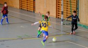 TSV Abt.-Fussball F-Jugend Hallenturnier in Thingau Foto M.Gromer 