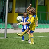 TSV F-Jugendturnier in Amendingen Foto M.Gromer