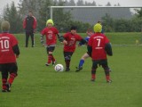 TSV Abt. Fussball JG Saisonabschluss letztes F-Jugendspiel - Foto K.Phillip