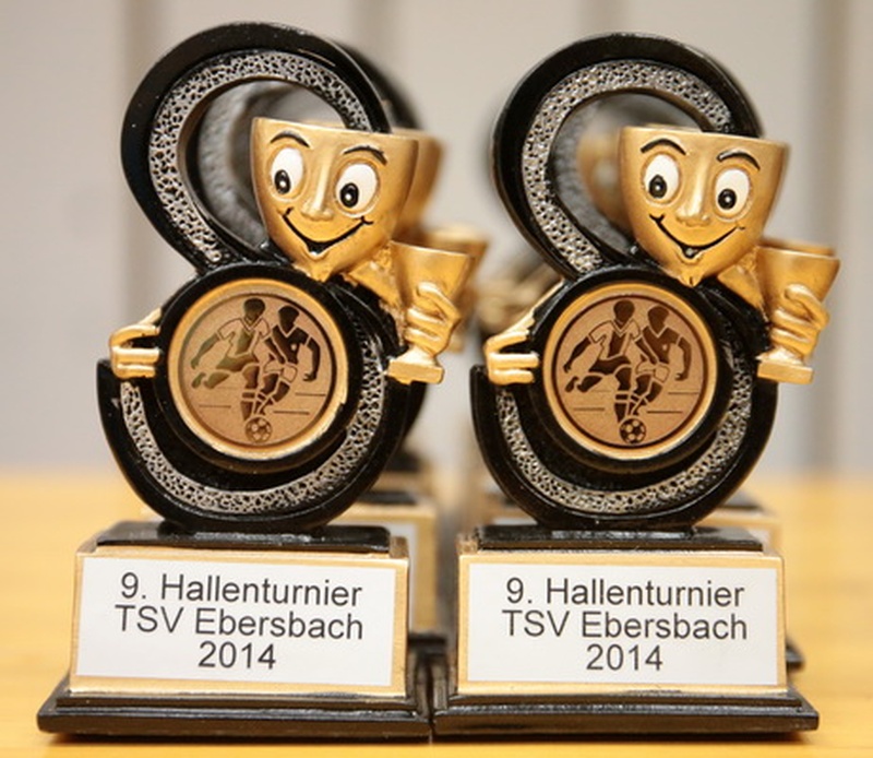 Hallenturnier in Ebersbach 17.01.- 19.01.2014
